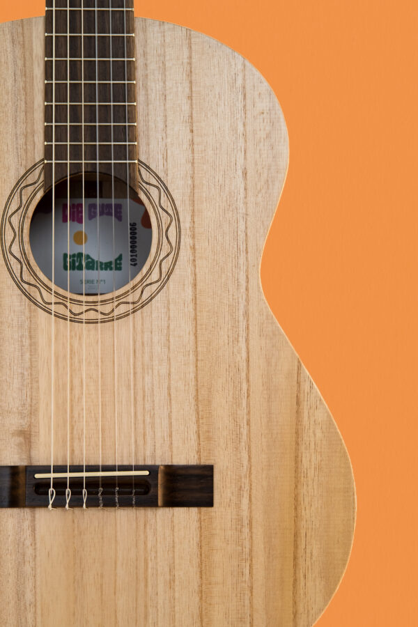 Die Gute Gitarre aus Klimaholz.